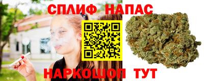 мдпв Волгодонск