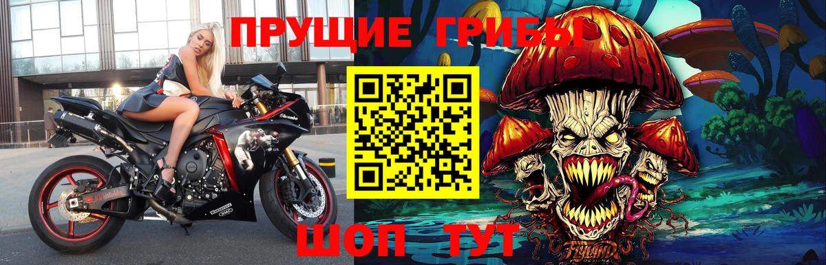 Галлюциногенные грибы ЛСД Надым